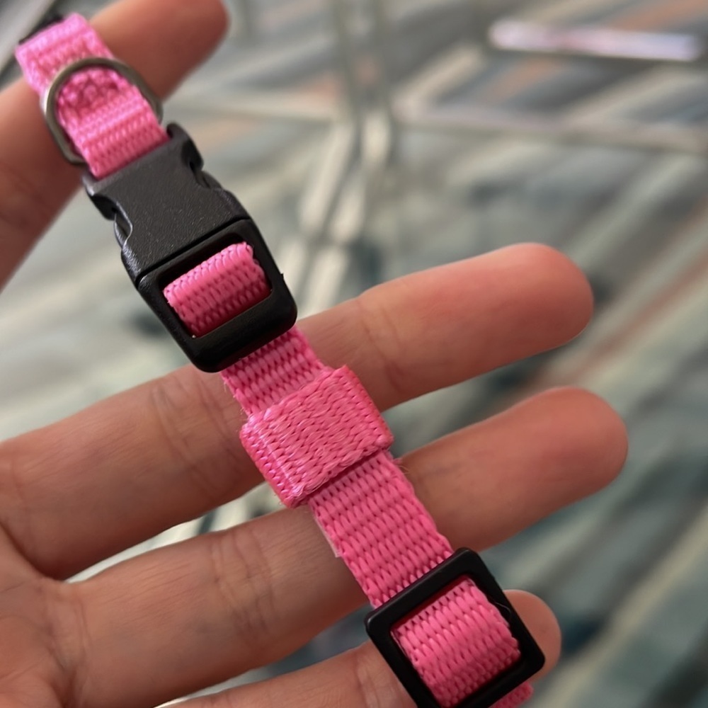 🆕TopPaw XS collar - Picture 3 of 5